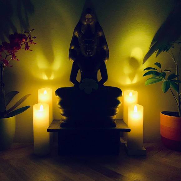 Meet your Posher, Sophie - Picture 1 of 1